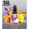 Classic 84 RY - Sail de Avap - Sel de nicotine