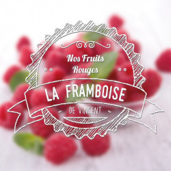 Pack de 5 flacons Framboise - Les incontournables by VDLV