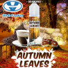 Automn Leaves - Se4sons - High Vaping - ZHC 50 ml