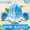 Pack de 5 flacons Menthe Glaciale French Standard - Liquideo