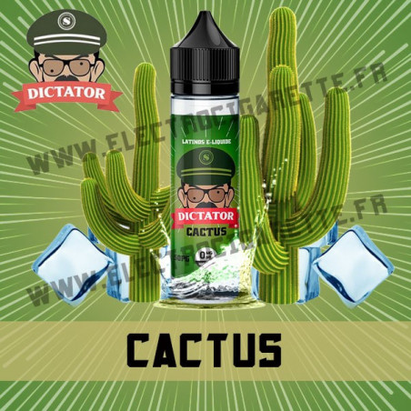 Cactus - ZHC 50 ml - Savourea