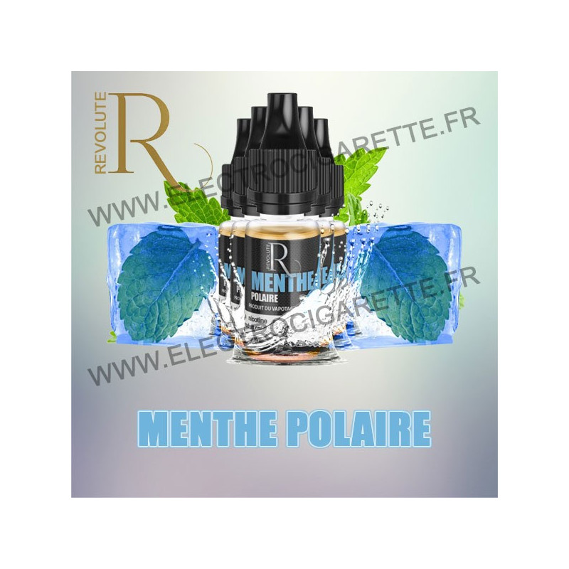 Pack de 5 flacons Menthe Polaire - Primo de REVOLUTE