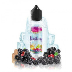 Blackberry - Fresh & Sweet - ZHC 50 ml
