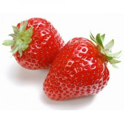 Fraise - Aromea