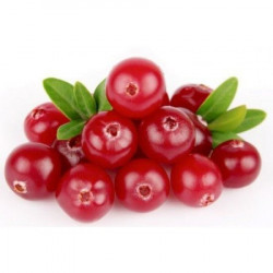 Cranberry - Aromea