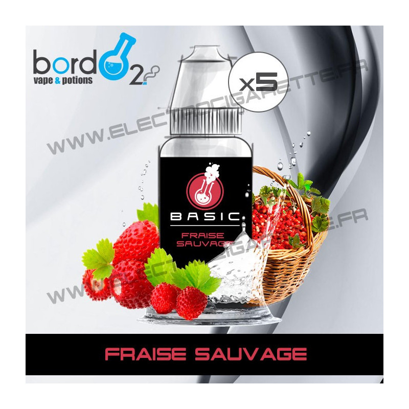 Pack de 5 x Fraise Sauvage - Basic - Bordo2