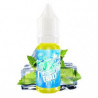 ICEE MINT ESALT 10 ML - ELIQUID FRANCE