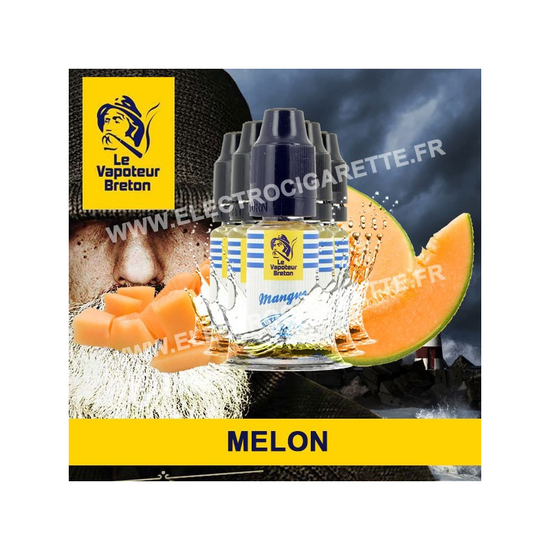 Pack de 5 x Melon - L'Authentic - Le Vapoteur Breton - 10 ml