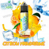 Citron Mandarine Ice - Devil Squiz Ice - Avap - ZHC 50 ml