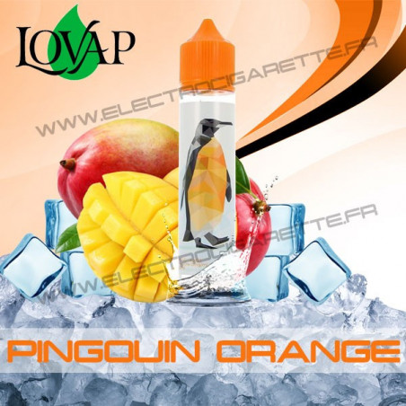 Pingouin Orange - Bankeeze - Lovap - ZHC 50ml