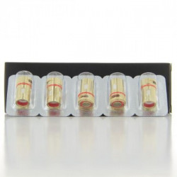 Pack de 5 x résistances WV-M 0.3 Ohm R80 Wismec
