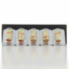 Pack de 5 x résistances WV-M 0.3 Ohm R80 Wismec