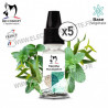 Menthe Eucalyptus - BioConcept - Pack de 5 x 10ml
