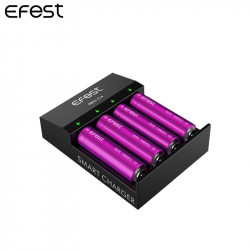 CHARGEUR D'ACCUS PRO C4 EFEST