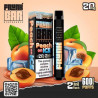 Peach on Ice - Frunk Bar - Vape Pen - Cigarette jetable
