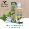 Cristaux Mentholés d'Antarctique - La Vape Insulaire - 50ml
