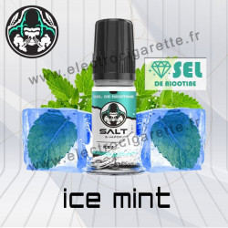 Ice Mint - Salt E-vapor - Aux sels de nicotine - Aux Sels de Nicotine