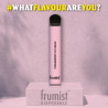 Strawberry Ice Cream - Frumist - Vape Pen - Cigarette jetable