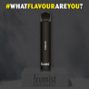 Tobacco - Frumist - Vape Pen - Cigarette jetable