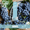 Grape - Hyppe Q - Hyppe - Vape Pen - Cigarette jetable