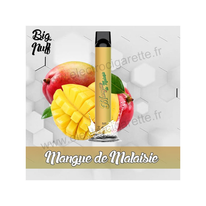 Mangue de Malaisie - Big Puff - Vape Pen - Cigarette jetable
