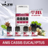 Anis Cassis Eucalyptus - 4 x Vaze Pod Pré-remplie - Vaze Pod