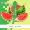 Puff my Lush - Bisou - Vape Pen - Cigarette jetable