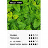 Infos sur la saveur Fresh Mint - Moti Pop - Moti - Vape Pen - Cigarette jetable