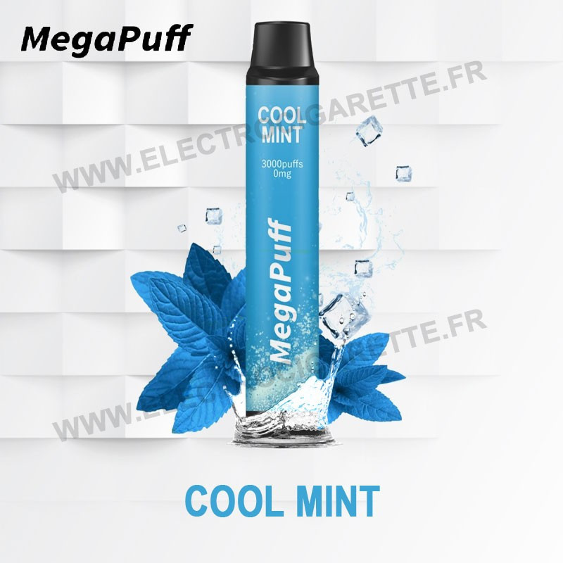 Cool Mint - Mega Puff - Vape Pen - 3000 bouffées - Cigarette jetable