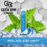 Polar Ice Mint - Geek Bar C600 - Geek Vape - Vape Pen - Cigarette jetable
