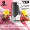 Cartouche EPEN3PRO Pod Vype ePen 3 Pro Fruits des bois - 2 x Capsules - Vuse (ex Vype) - Sel de nicotine