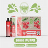 Cerise Glacée - Ma maxi vape - 5000 puffs - Vape Pen - Cigarette jetable