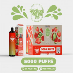 Lush Ice - Ma maxi vape - 5000 puffs - Vape Pen - Cigarette jetable