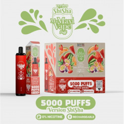 Love 66 - Version Shisha - Ma maxi vape - 5000 puffs - Vape Pen - Cigarette jetable