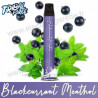 Blackcurrant Mernthol - Tribal Force - Air Puff 600 - Vape Pen - Cigarette jetable