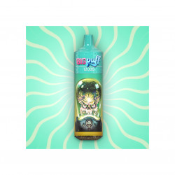 Kiwi Passion Fruit Guava : Kiwi, Fruit de la passion, Goyave - BIG PUFF 12000 - 00MG