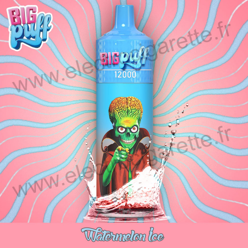 WATERMELON ICE : Pastèque Glacée - BIG PUFF 12000