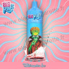 WATERMELON ICE : Pastèque Glacée - BIG PUFF 12000