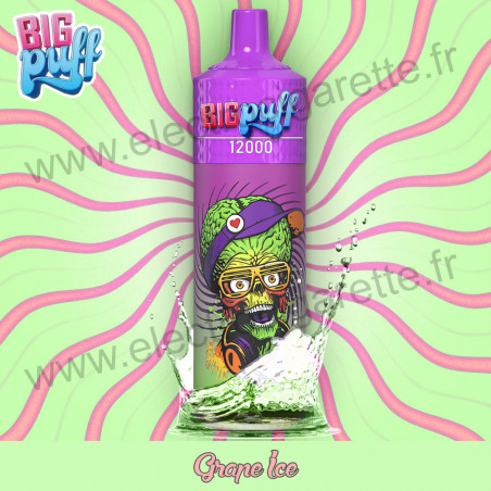 Grape Ice : Raisin Glacée - BIG PUFF 12000