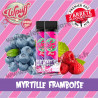 2 x Pods Myrtille Framboyante - Wpuff 1800/Liquideo