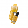 Utilisation du Pod Triple Mangue - AF5000 - Elfbar - Pod 2ml et Bouteille 10ml
