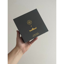 Coffret de la DotAIO V2 G10 Monarchy Edition - design luxueux et finitions soignées