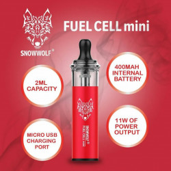 Vape pod 2ml autonomie Snowwolf