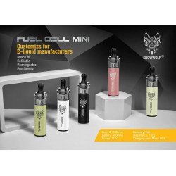 Snowwolf pod mod compact puissant