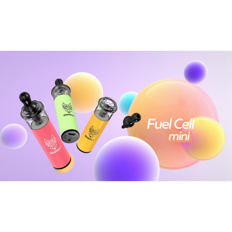 Snowwolf Fuel Cell Mini batterie