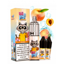 Tornado 15000 puffs 20 mg Pêche Givrée - Big Puff