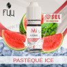 Pasteque Ice - Minimal - The Fuu 10ml - Aux sels de nicotine