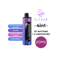Kit 4en1 ELFBAR Baies Sauvages 20mg