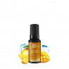 Mangue Givrée 10ml - King Salt Puff