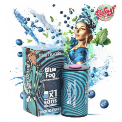 Cartouche Blue Fog 1pcs – Starhooks Liquideo | Myrtille et Menthe 0mg